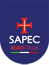 Sorrentino Partners