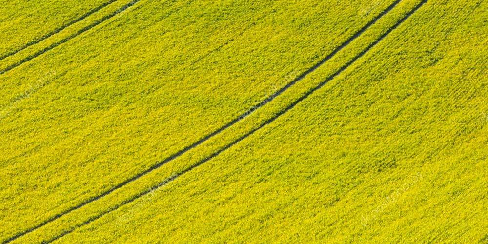Sorrentino Prodotti e servizi per l’agricoltura