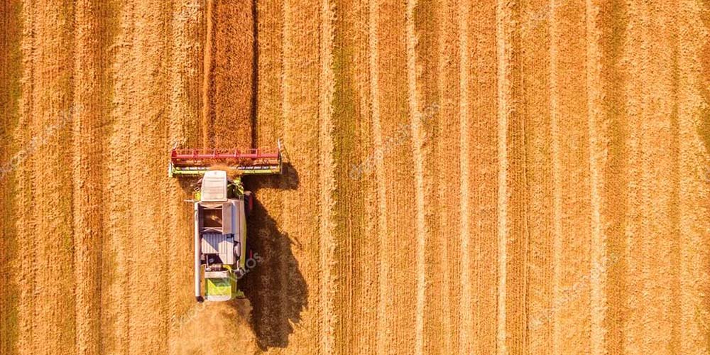 Sorrentino Prodotti e servizi per l’agricoltura