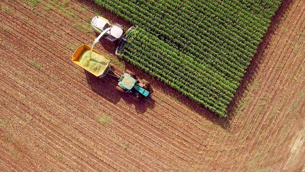 Prodotti e servizi per l’agricoltura